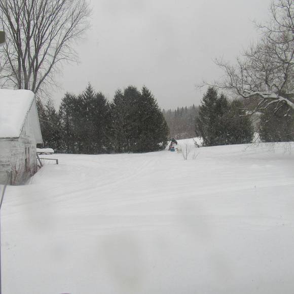 Meet your Posher, Susan - Picture 1 of 1